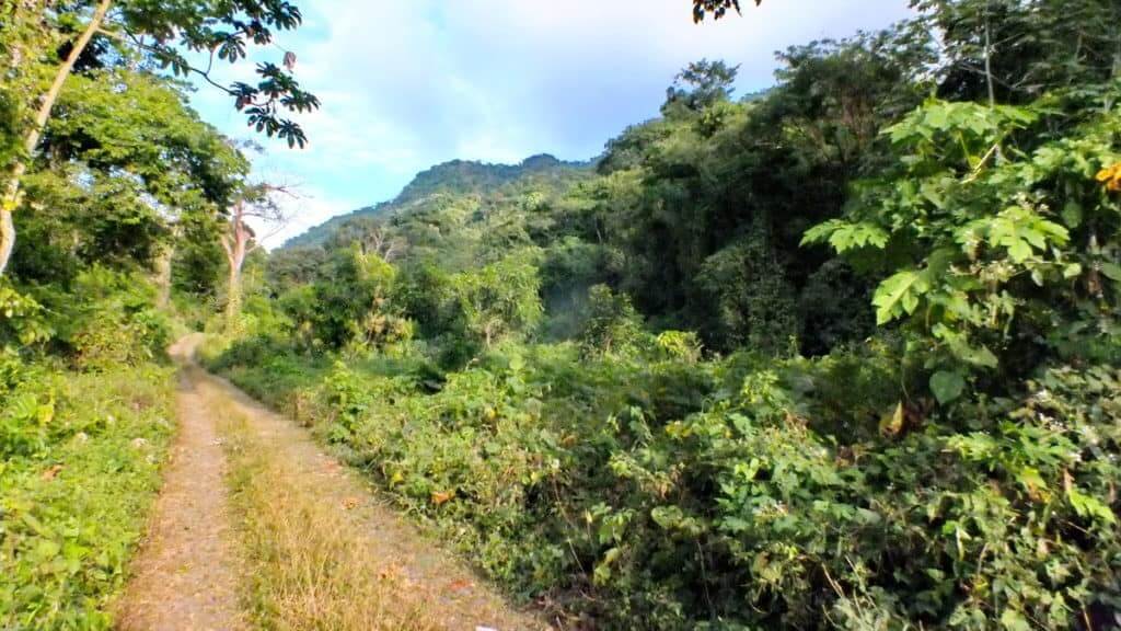 Image of the Camino Real road near La Bajada, Mexico.