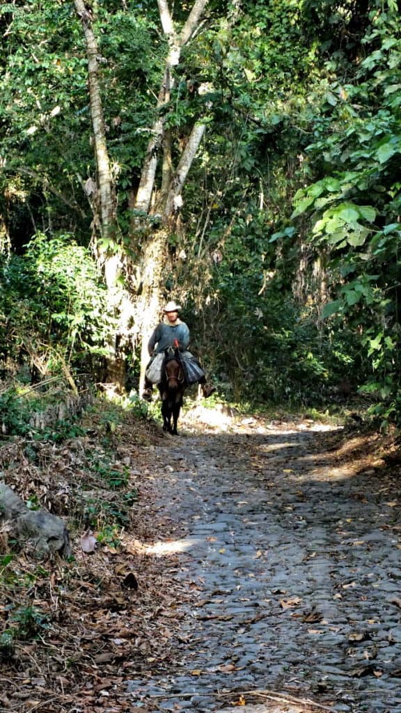 Image of a Mexican cowboy or charro near La Bajada, Mexico.