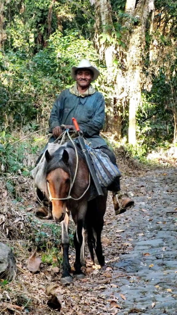 Image of a Mexican cowboy or charro near La Bajada, Mexico.