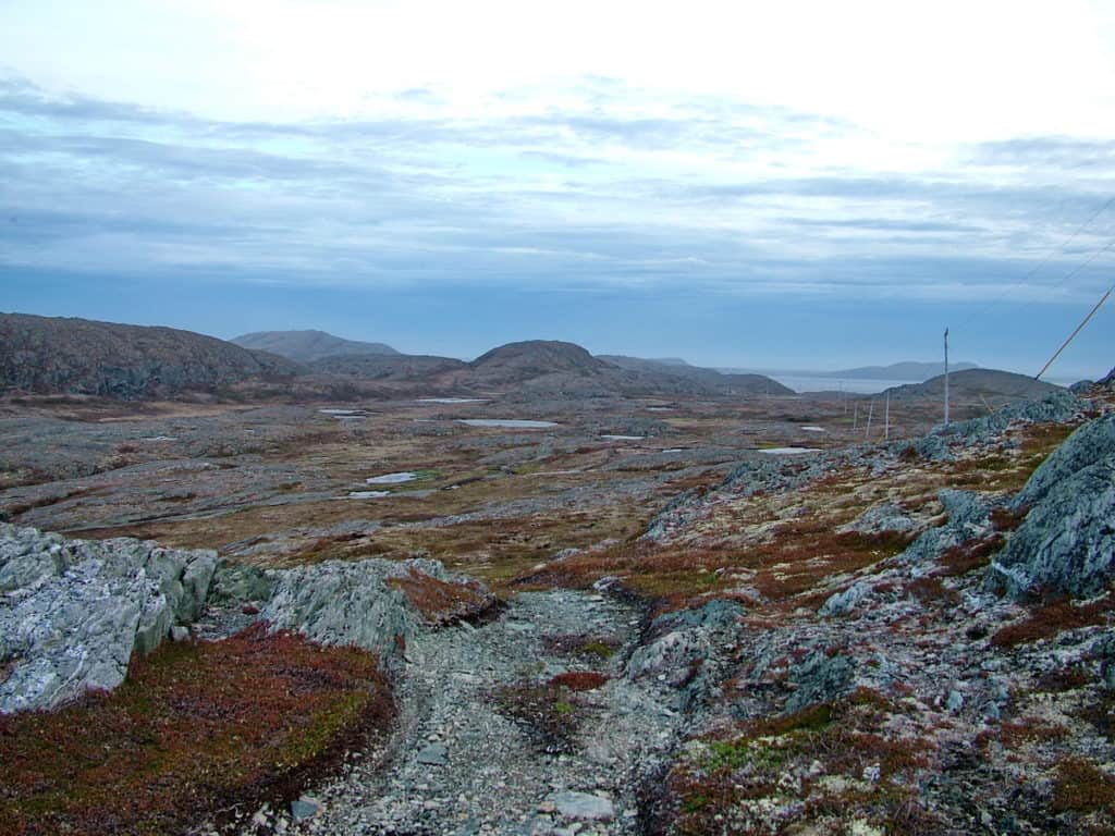 a vast stretch of bog, peat and rock on quirpon island, newfoundland, canada