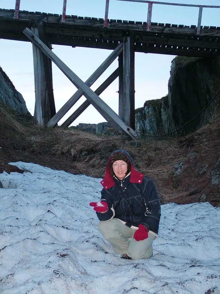 remnants of snow on quirpon island, newfoundland, canada