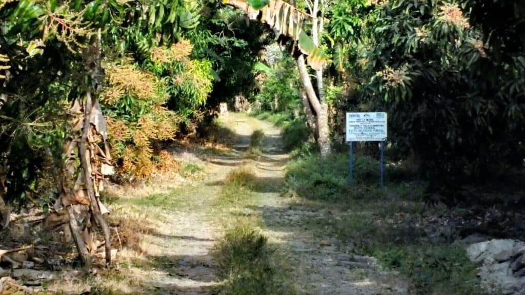 Image of dirt road in the town of La Bajada, Mexico.