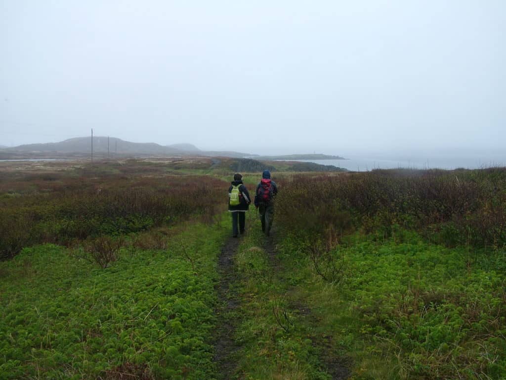 trail to Grandmother's Cove on quirpon island, newfoundland, canada