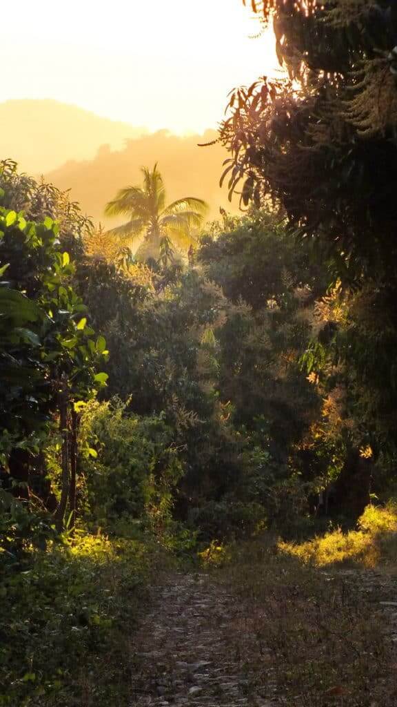 Image of late day sun near La Bajada, Mexico.
