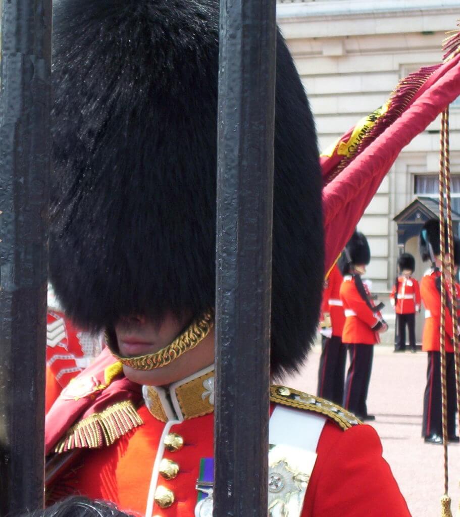 bearskin hat, queen's guard, buckingham palace, london, england