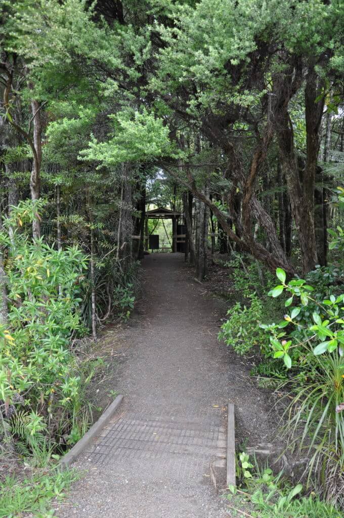 control gate, ark in the park, waitakere ranges regional park, north island, new zealand