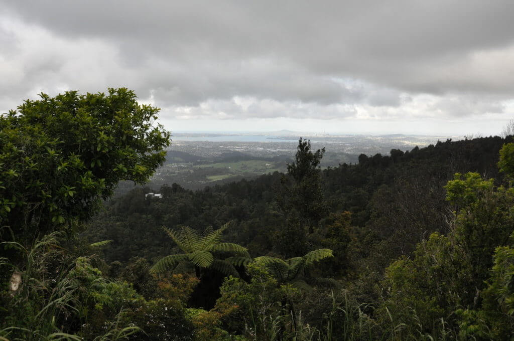 a view of auckland from karekare, north island, new zealand
