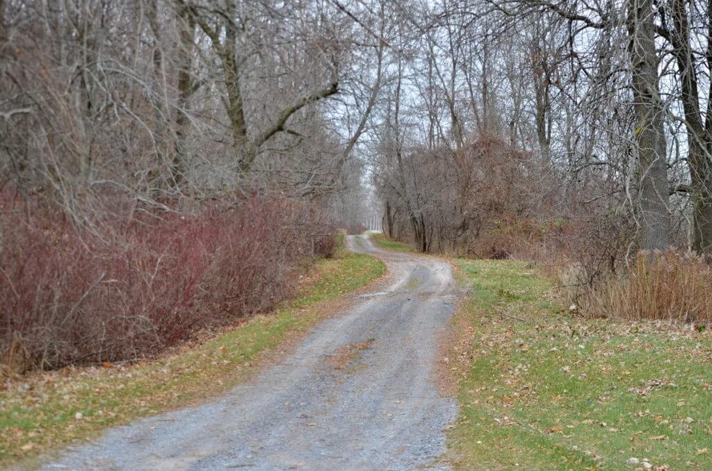 country road, amherst island, ontario