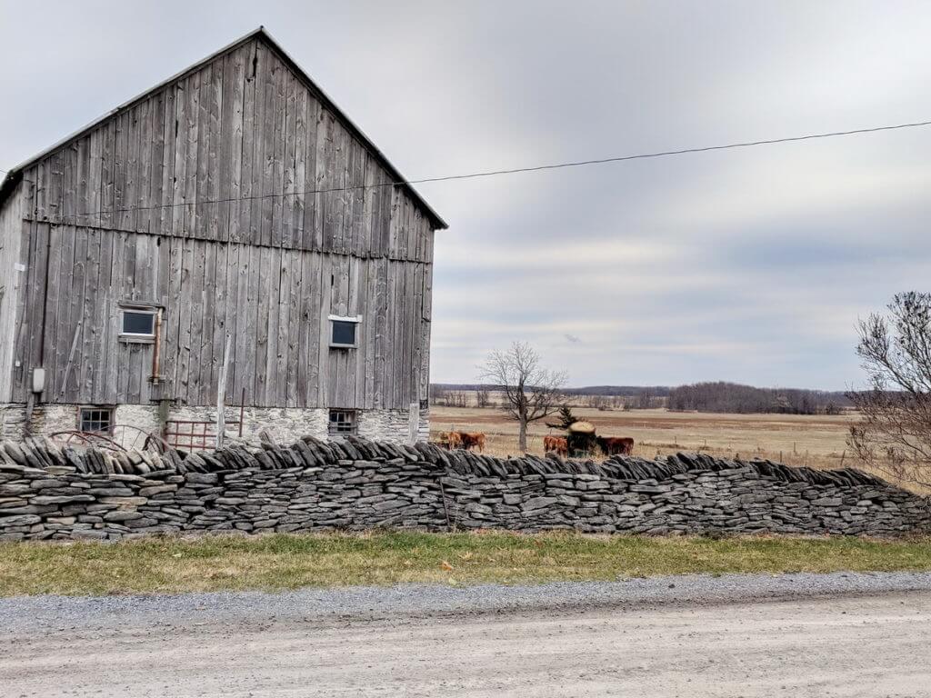 A stone fence and country barn on Amherst Island, Ontario, Canada.