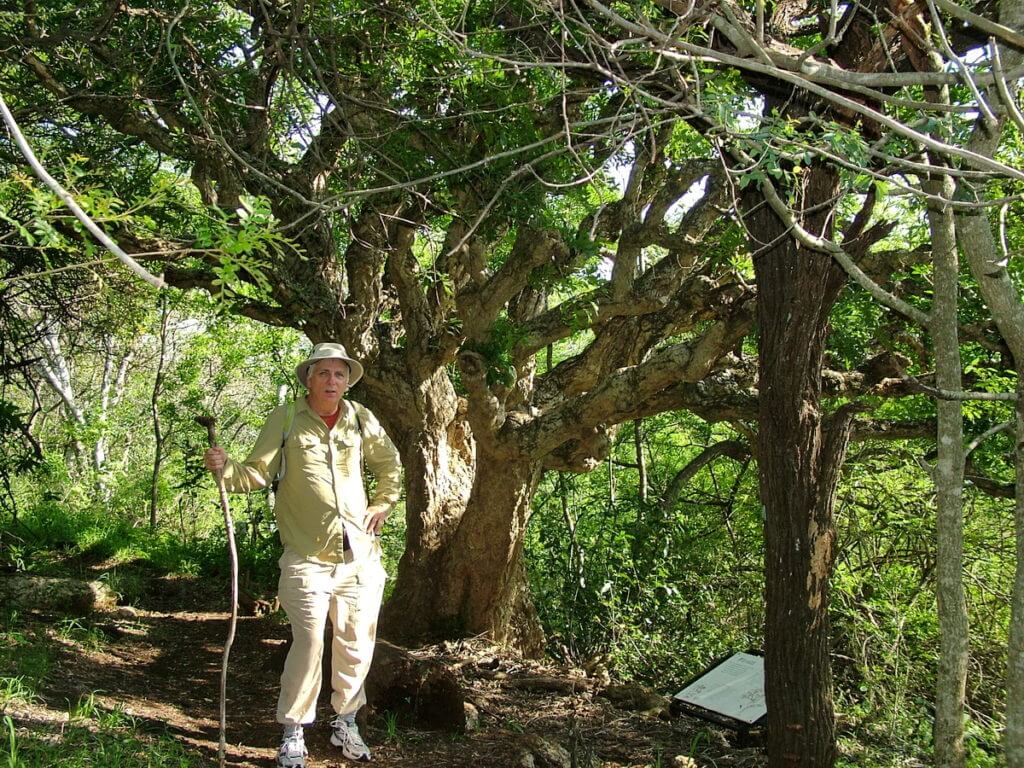bob on the mbhome self-guided trail at hilltop camp, hluhluwe-imfolozi, south africa