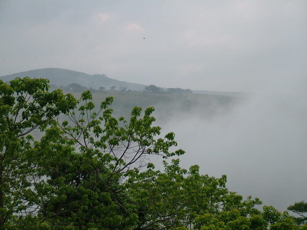 morning fog at hilltop camp, hluhluwe-imfolozi, south africa