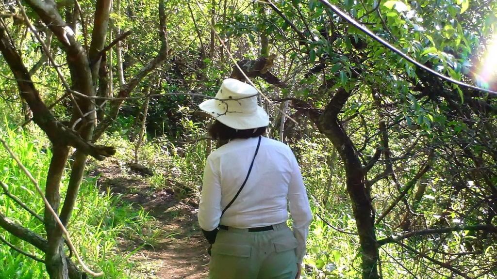 jean on the mbhombe self-guided trail at hilltop camp, hluhluwe-imfolozi, south africa