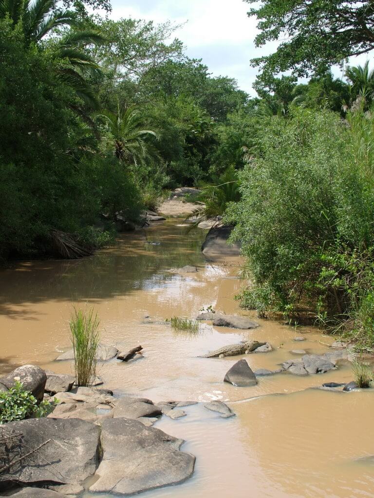muddy river in hluhluwe-imfolozi, south africa