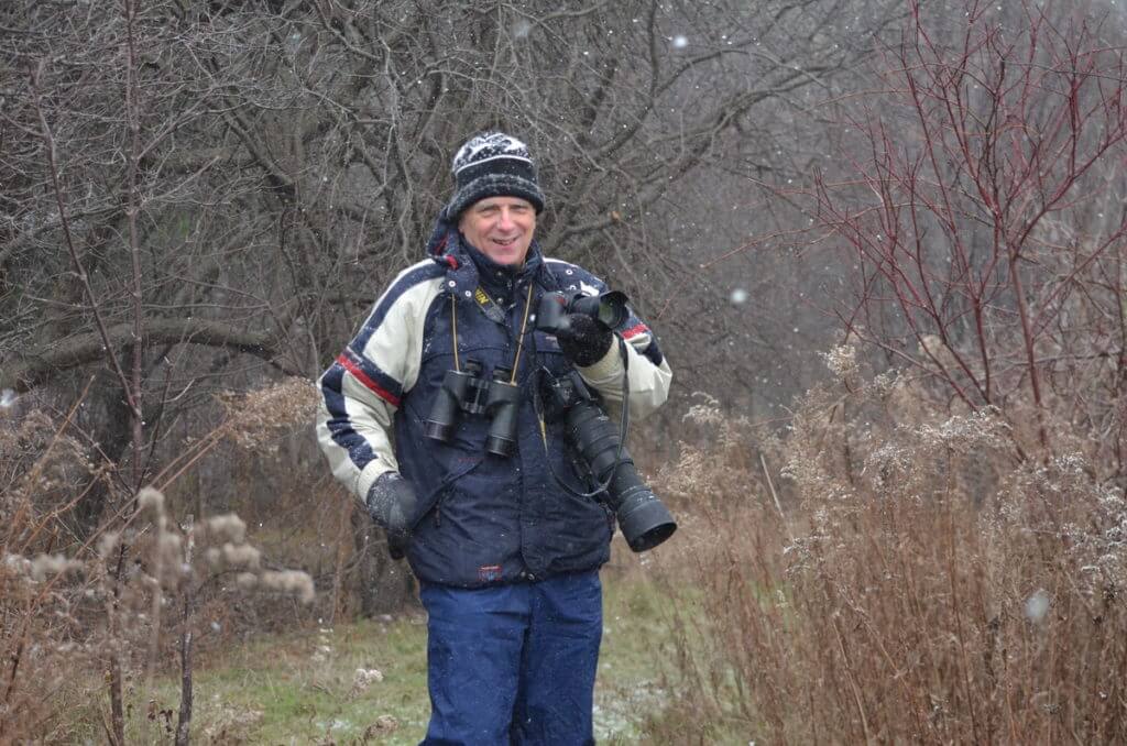 bob in a light snowfall, ontario, canada