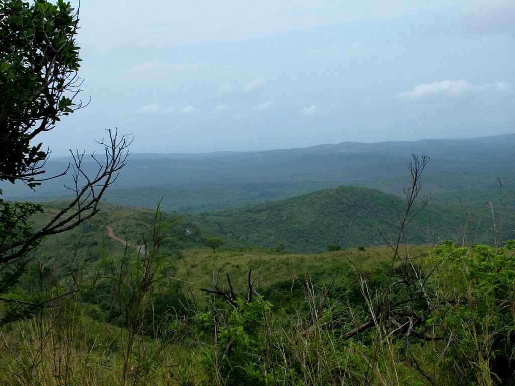 road to hilltop camp, hluhluwe-imfolozi, south africa