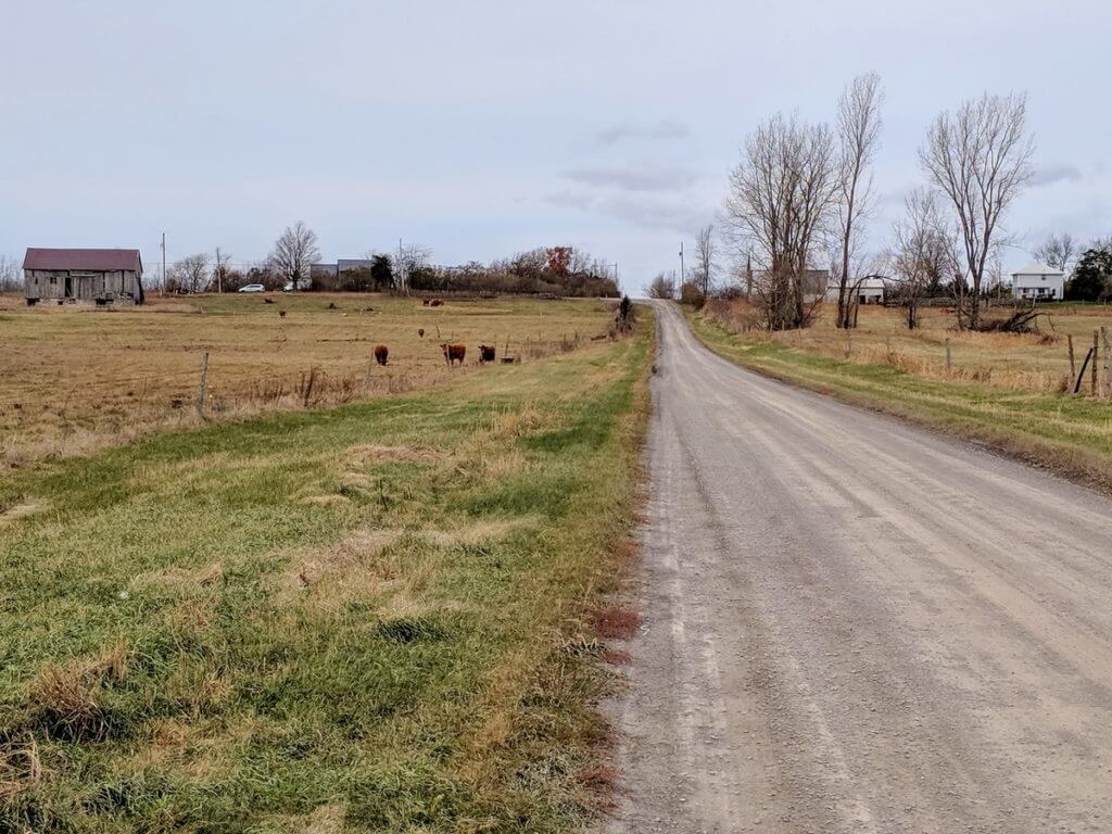 farm country, amherst island, ontario