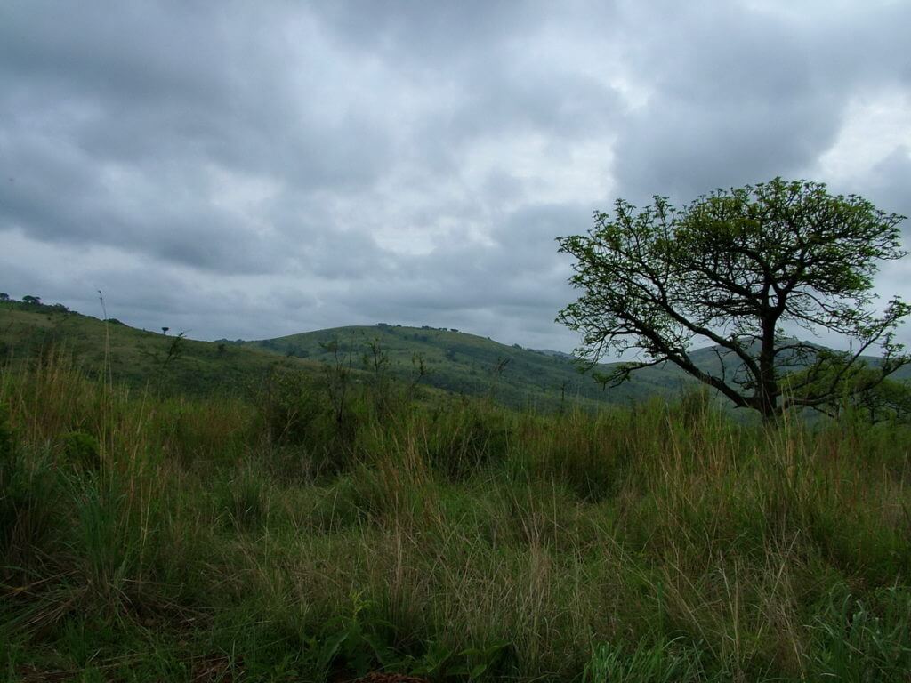a stormy sky over hluhluwe-imfolozi, south africa