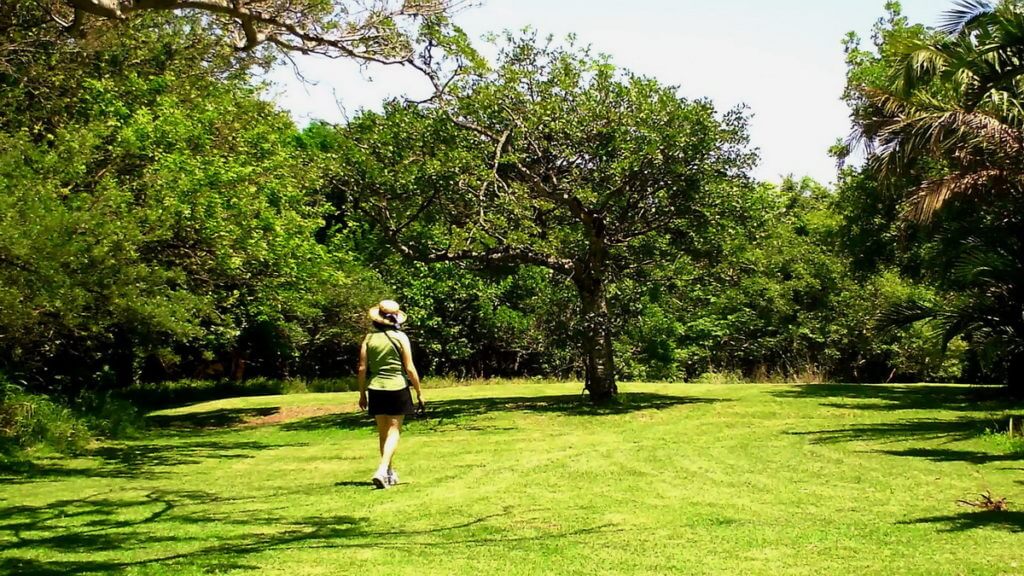 the grounds at hilltop camp, hluhluwe-imfolozi, south africa