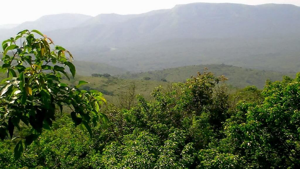 mountainview at hilltop camp, hluhluwe-imfolozi, south africa