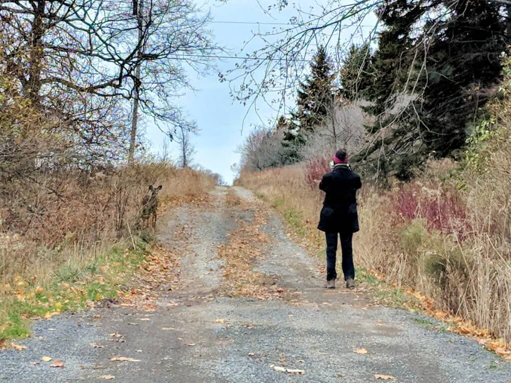 Jean takes a picture of a white-tailed deer on Amherst Island, Ontario, Canada.