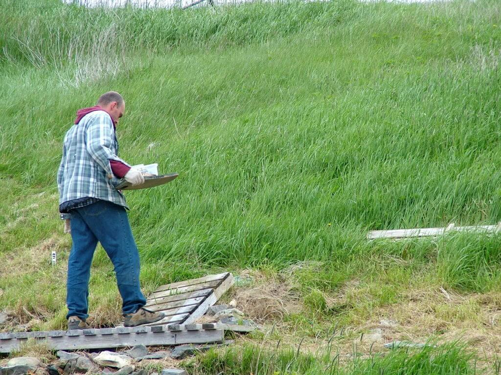 archeologist at work, colony of avalon, newfoundland, canada