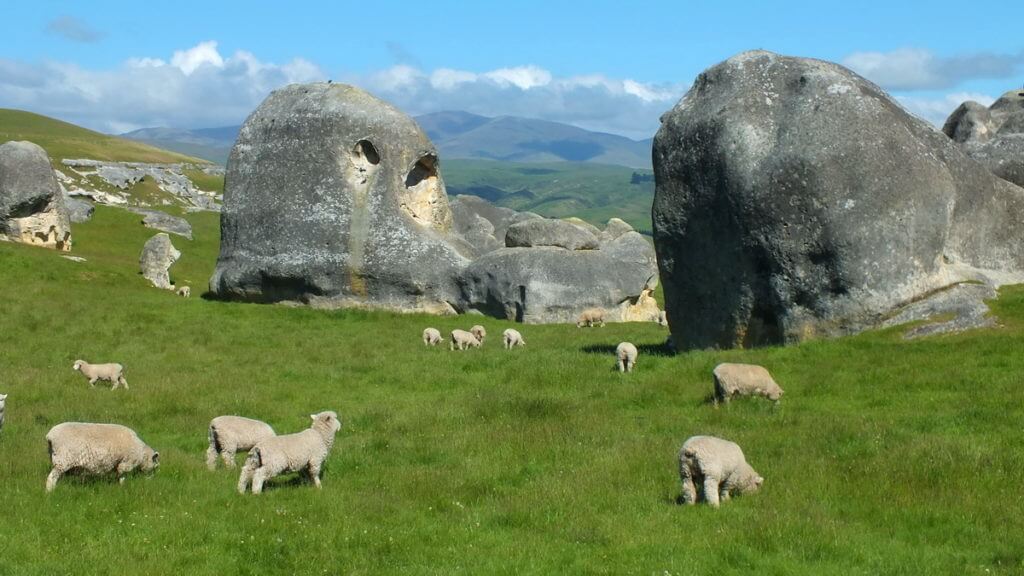pastureland with sheep and elephant rocks, duntroon, new zealand
