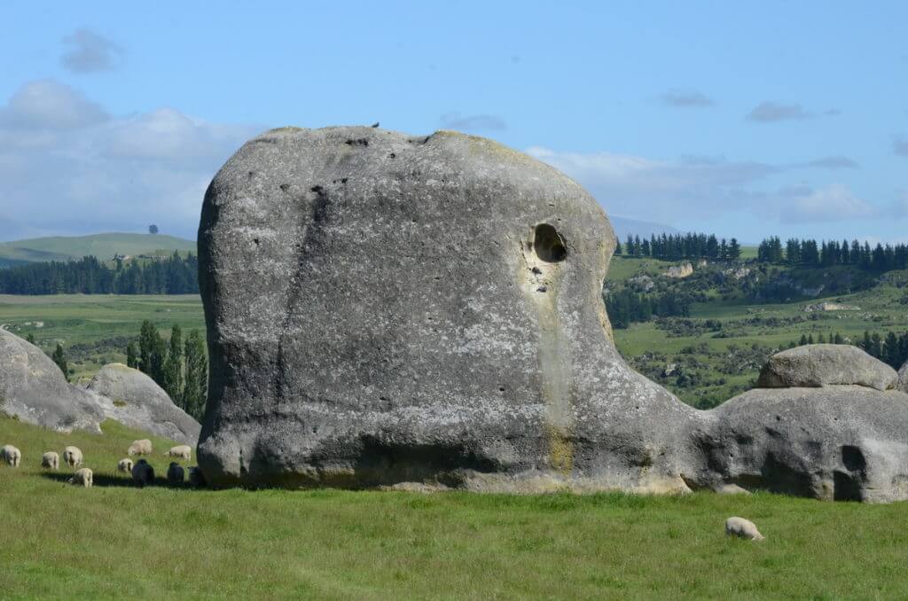 an elephant-shaped elephant rock, waitaki region, south island, new zealand