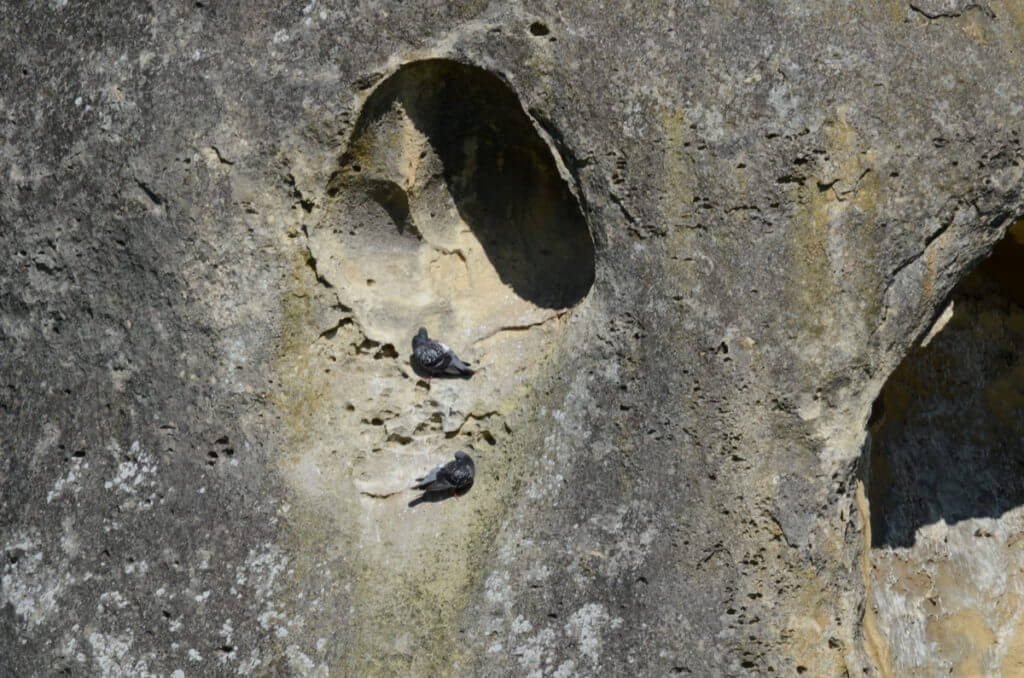 a pocked limestone outcrop, elephant rocks, new zealand