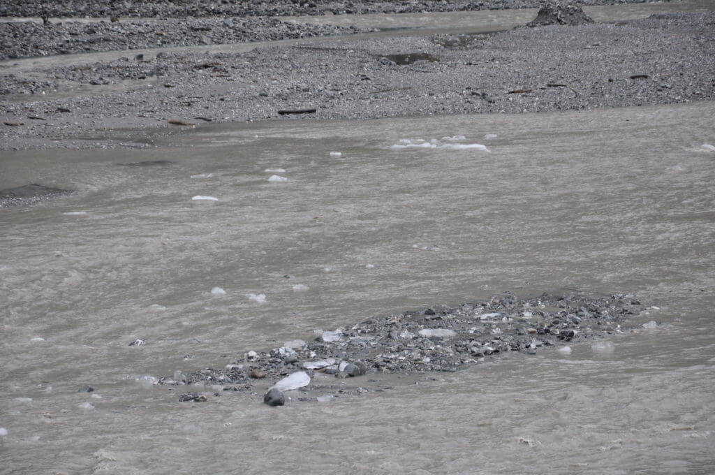 fox river, fox glacier valley, south island, new zealand