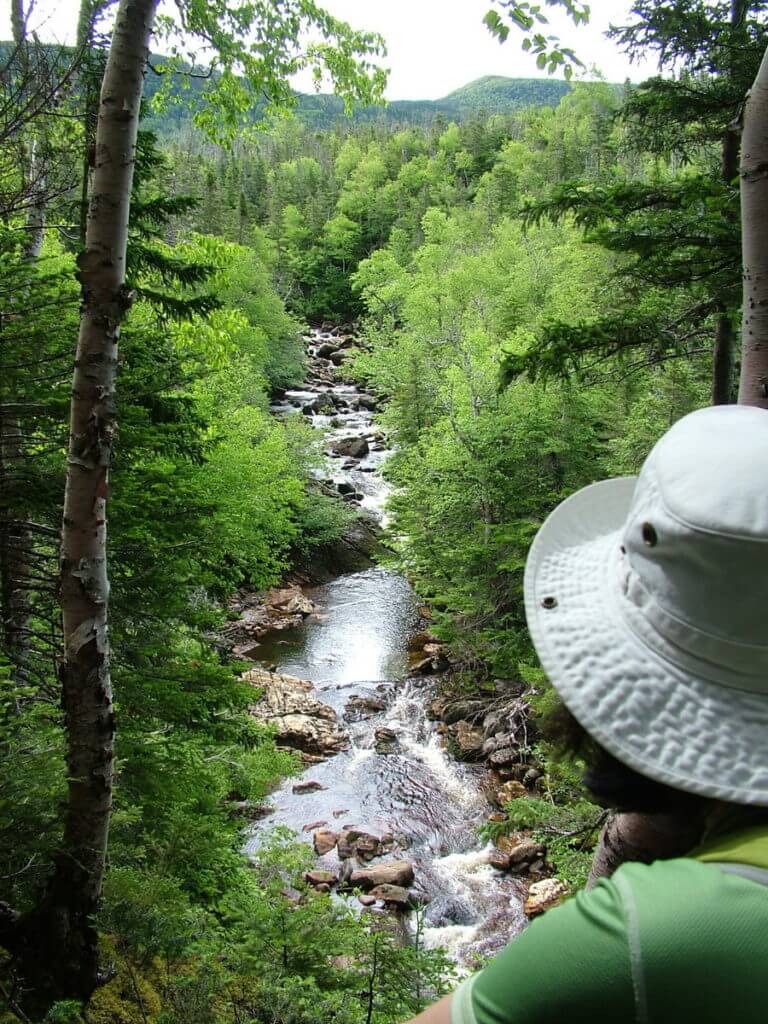 stream below gros morne mountain, newfoundland, canada