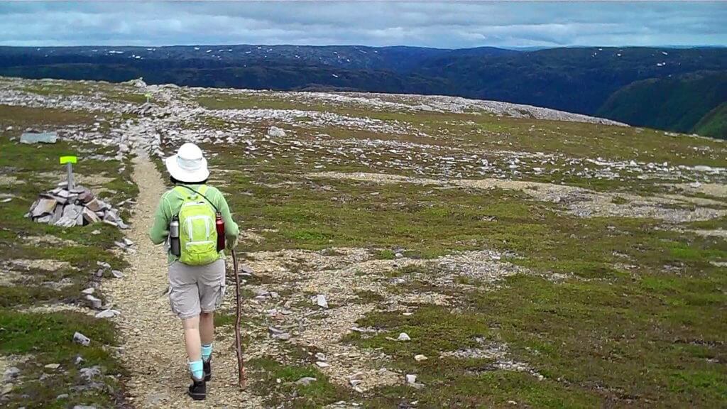 gros morne mountain trail, gros morne mountain, newfoundland, canada