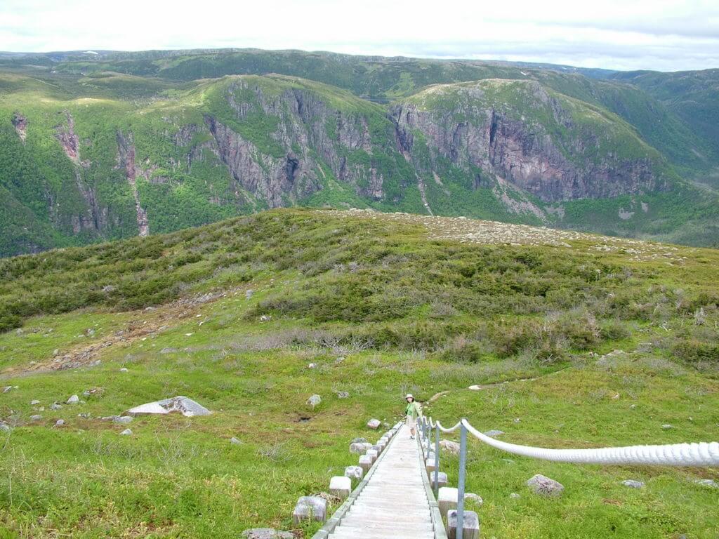 wooden steps down from the summit, gros morne mountain, newfoundland, canada