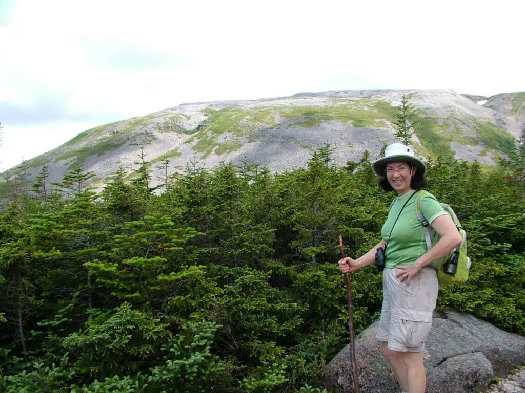 a view of jean and gros morne mountain, newfoundland, canada