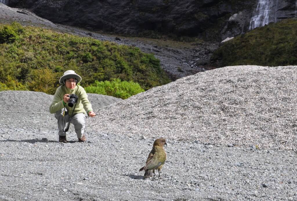jean and a kea parrot, fiordland national park, south island, new zealand