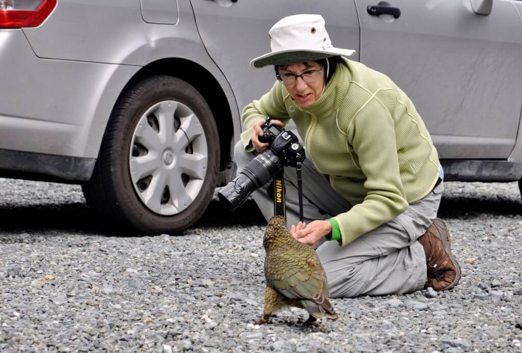 jean and a kea parrot, fiordland national park, south island, new zealand