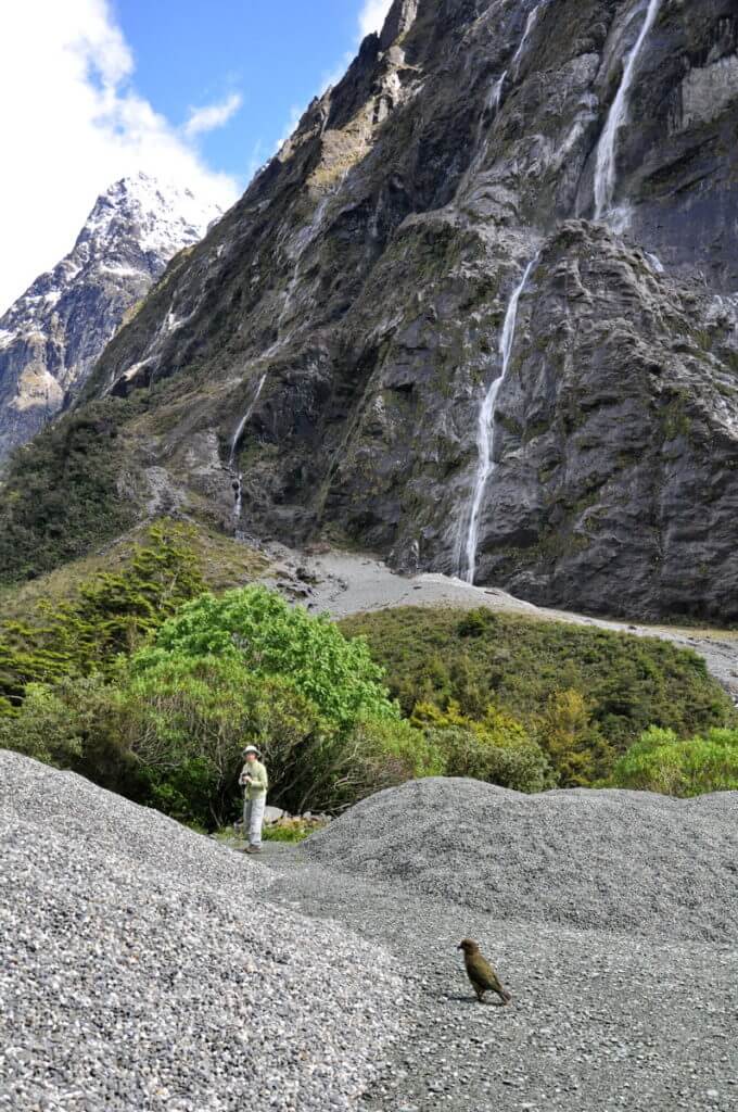jean and a kea parrot, fiordland national park, south island, new zealand