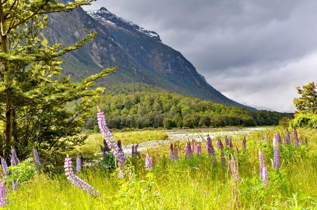 the earl mountains, eglinton river valley, fiordland national park, new zealand 