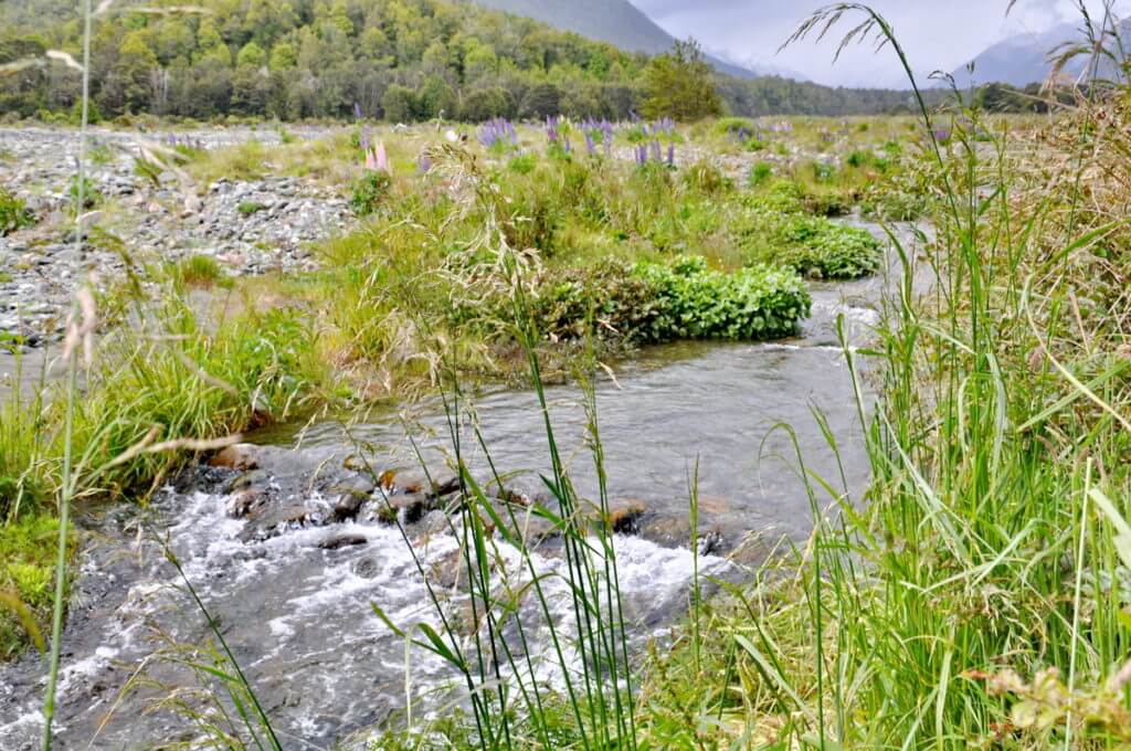 eglinton river, eglinton river valley, fiordland national park, new zealand 