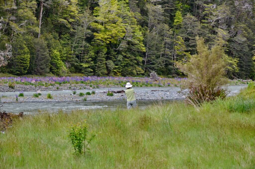 jean beside the eglinton river, eglinton river valley, fiordland national park, new zealand 