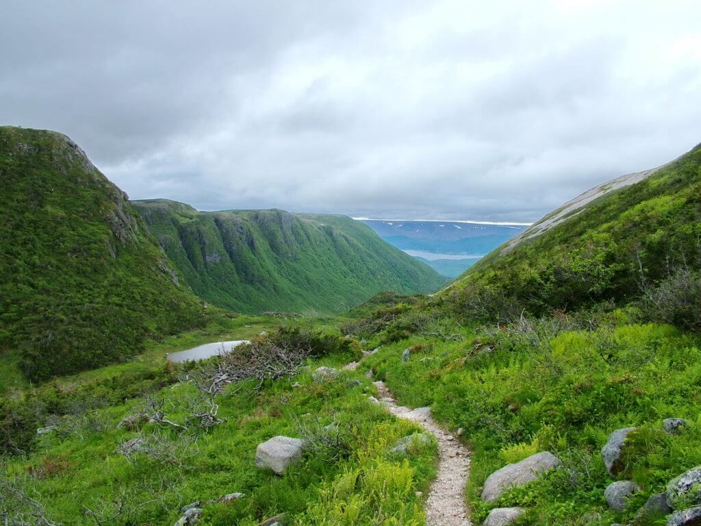 ferry gulch, gros morne mountain, newfoundland, canada