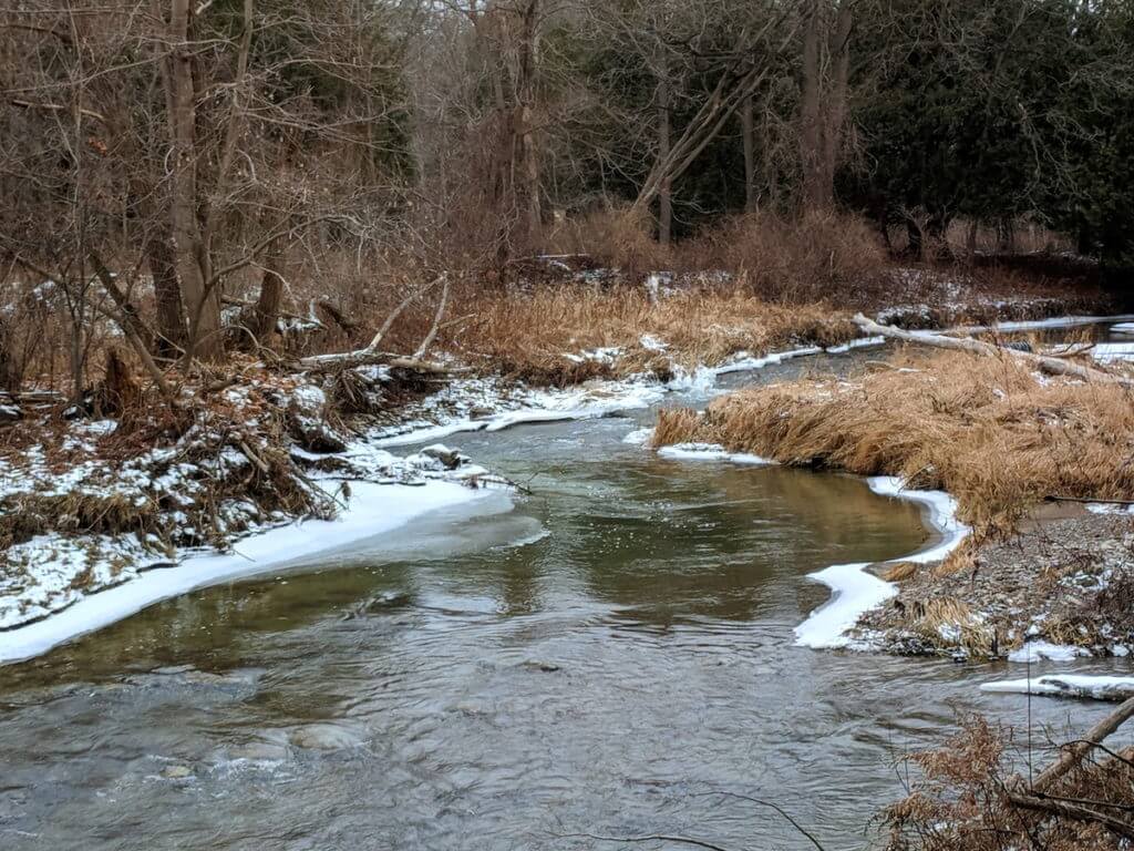 little rouge creek, rouge national urban park, toronto, ontario