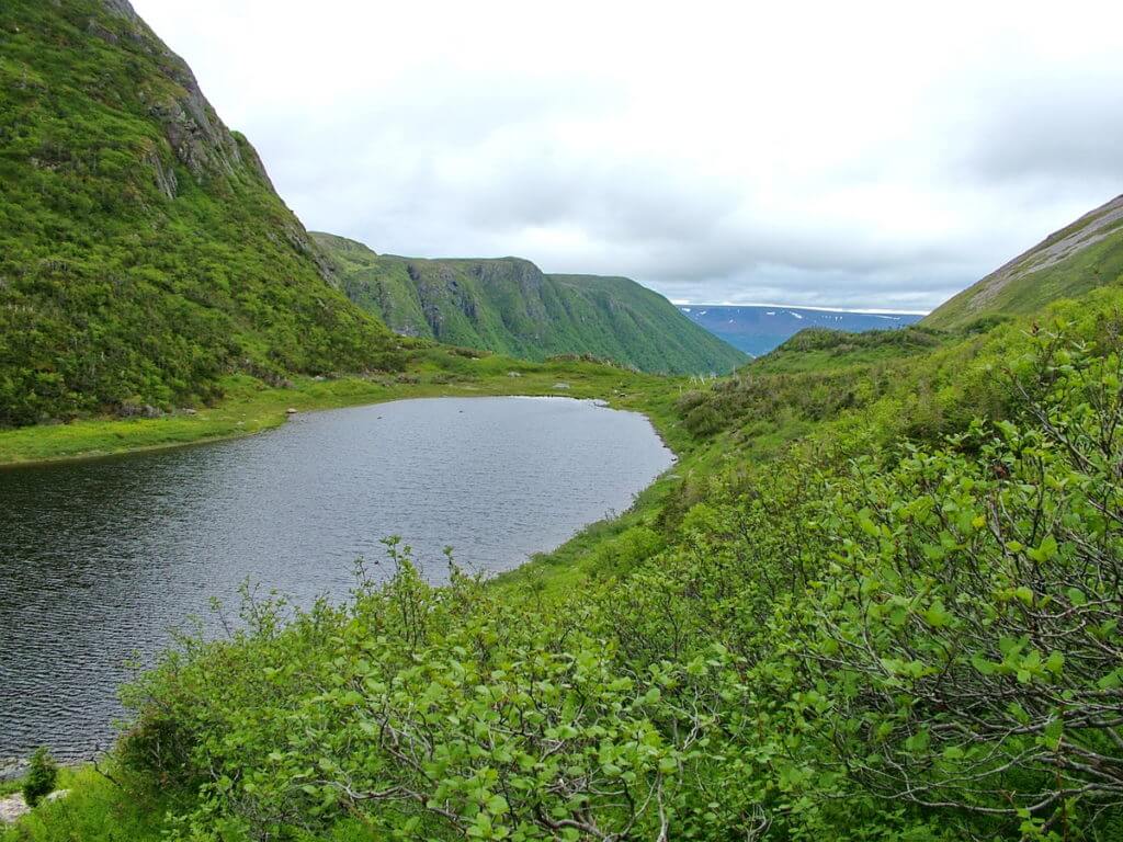 ferry gulch, gros morne mountain, newfoundland, canada