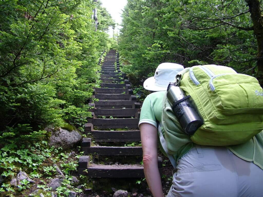 wooden steps, gros morne mountain trail, newfoundland, canada