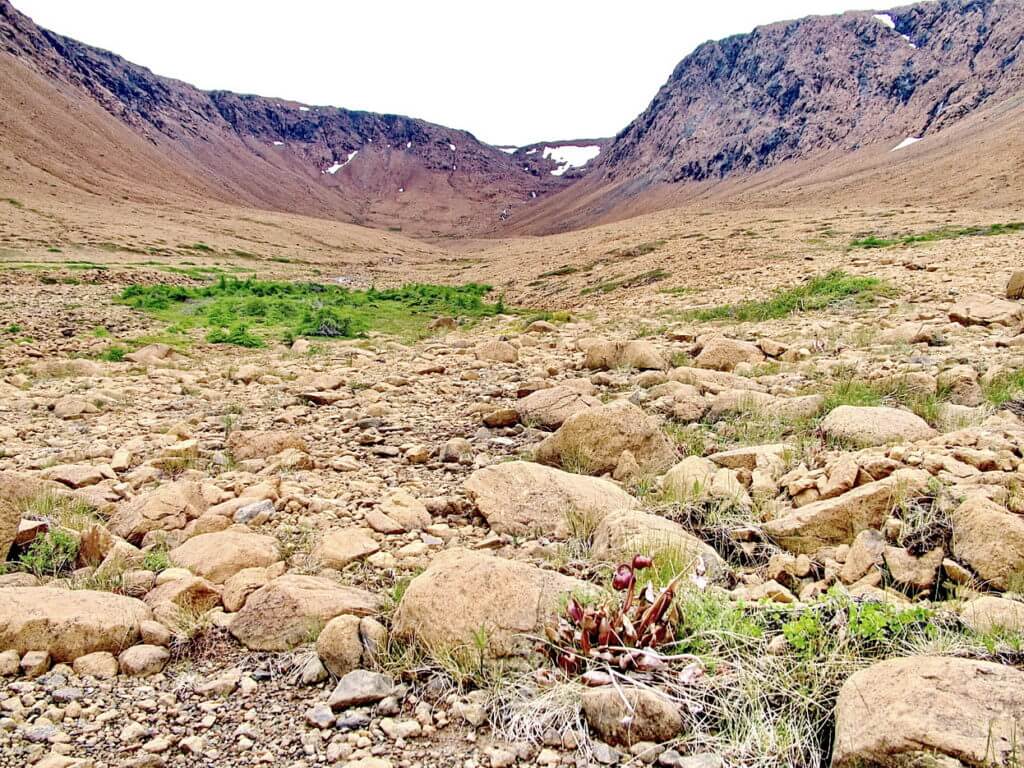 winter house brook canyon, the tablelands, newfoundland, canada