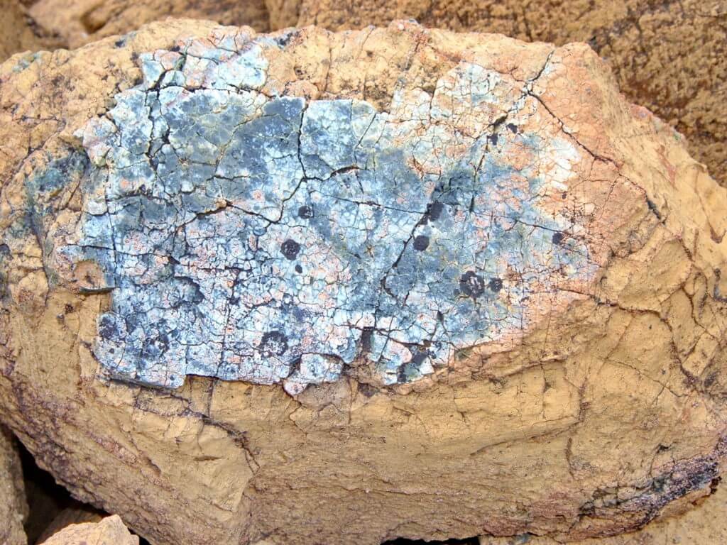 serpentine pattern on peridotite rock, the tablelands, newfoundland, canada
