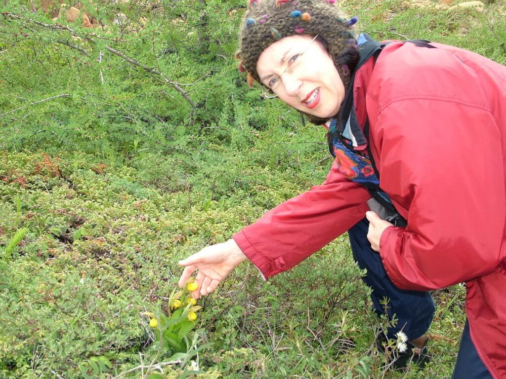 jean with lady's slippers, the tablelands, newfoundland, canada
