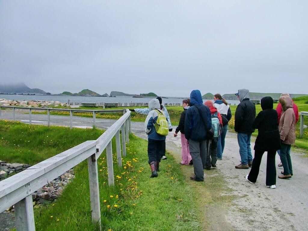 a group tour, colony of avalon, newfoundland, canada