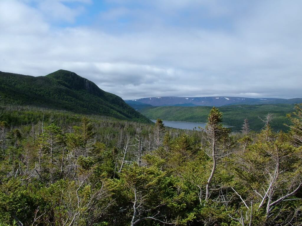 a view of bonne bay and the tablelands, gros morne mountain, newfoundland, canada