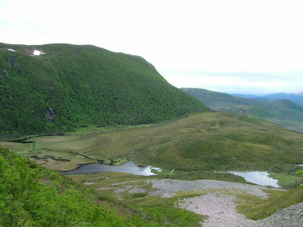 the ponds at the base of gros morne mountain, newfoundland, canada 