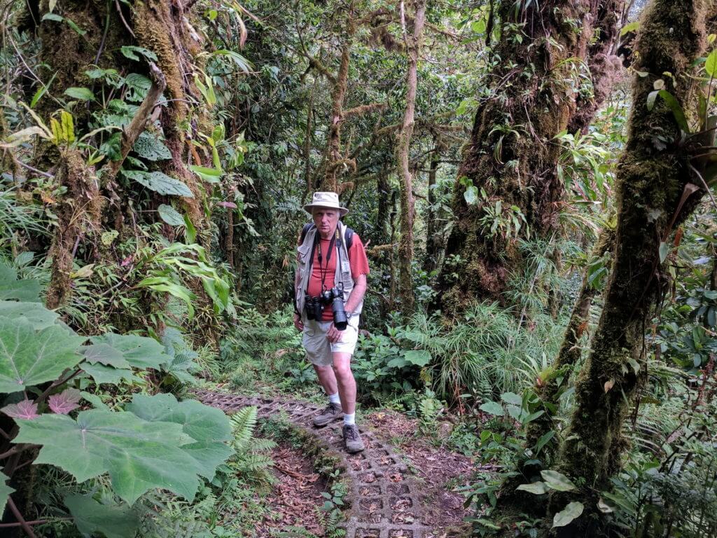 bob in the cloud forest, monteverde, costa rica